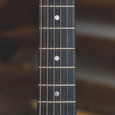 Taylor 2010 314CE With OHSC - Used