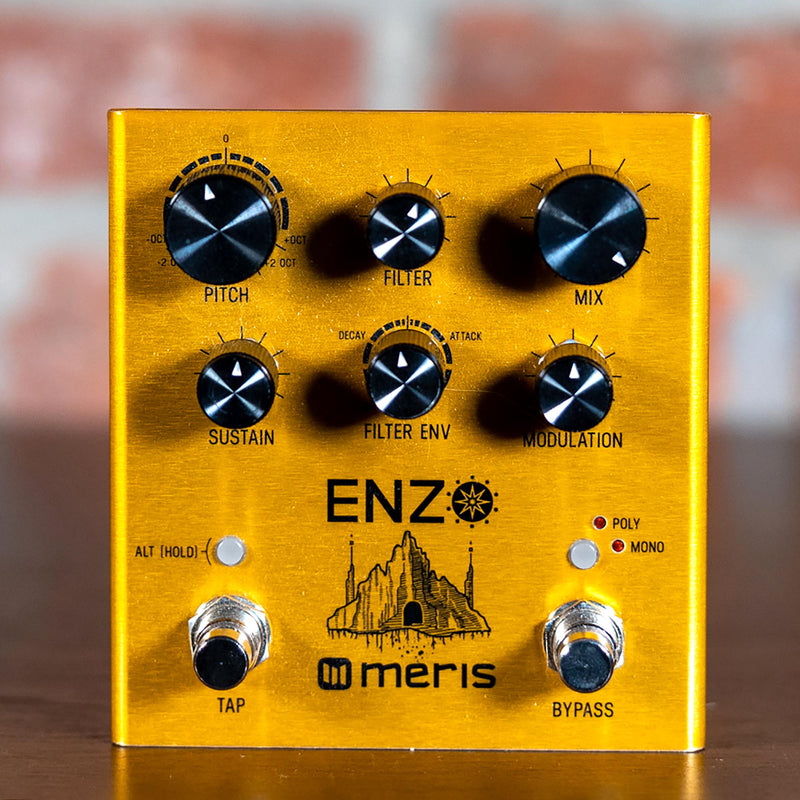 Meris Enzo Multi Voice Synthesizer - Used