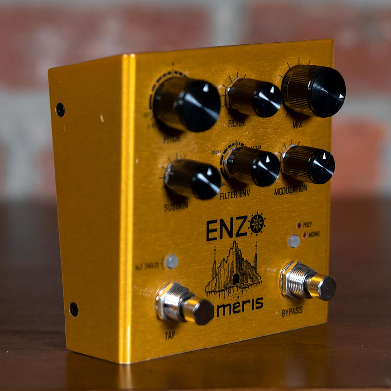 Meris Enzo Multi Voice Synthesizer - Used