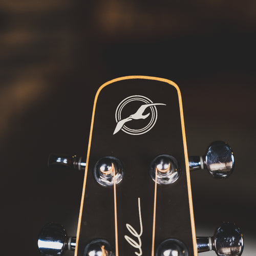 Seagull Entourage Rustic Burst With Martin Gig Bag - Used