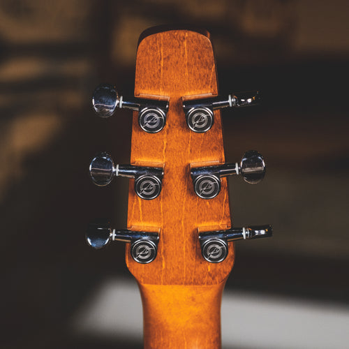 Seagull Entourage Rustic Burst With Martin Gig Bag - Used