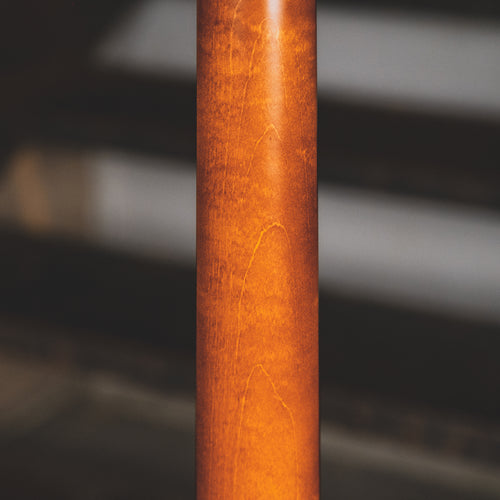 Seagull Entourage Rustic Burst With Martin Gig Bag - Used