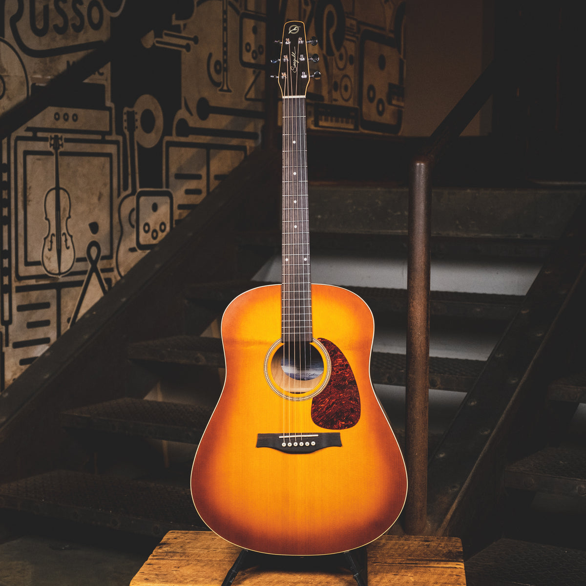 Seagull Entourage Rustic Burst With Martin Gig Bag - Used