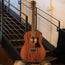 Taylor 2020 AD27e Acoustic Guitar, Natural With Aerocase - Used