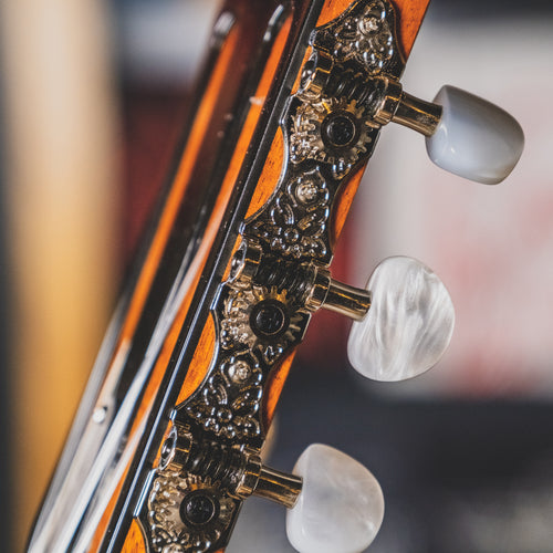 Taylor 2019 814ce-N Nylon Acoustic Guitar With OHSC - Used