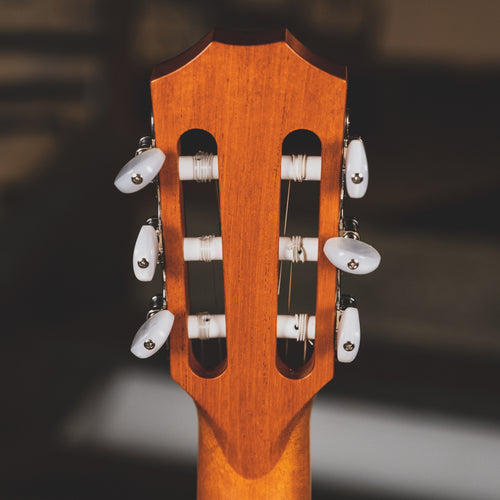 Taylor 2019 814ce-N Nylon Acoustic Guitar With OHSC - Used