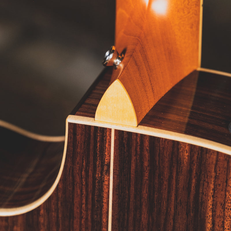 Taylor 2019 814ce-N Nylon Acoustic Guitar With OHSC - Used