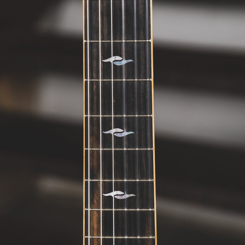 Taylor 2019 814ce-N Nylon Acoustic Guitar With OHSC - Used