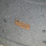 Rogers 1960s 10x14 Rack Tom, Black - Used