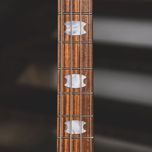 Spector 1991 NS-2 Bass Guitar, Blue With Gig Bag - Used