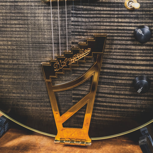 D'Angelico 2015 EX-SS Electric Guitar, Trans Black With OHSC - Used