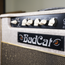 Bad Cat Cub 15R USA Player Series Fawn with Cover & Footswitch - Used