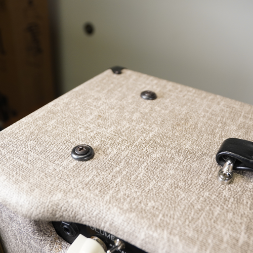 Bad Cat Cub 15R USA Player Series Fawn with Cover & Footswitch - Used