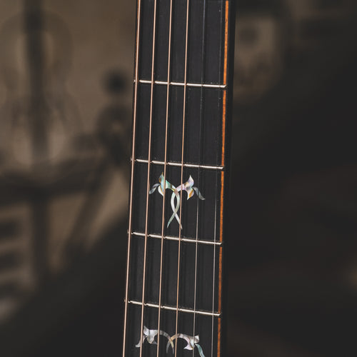 2020 Taylor 914CE Limited Natural Acoustic Guitar wOHSC - Used