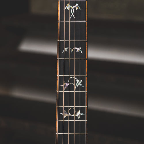 2020 Taylor 914CE Limited Natural Acoustic Guitar wOHSC - Used