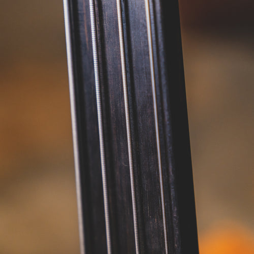 1998 Warwick Dolphin Pro 1 Ovangkol Fretless Bass Guitar with OHSC - Used