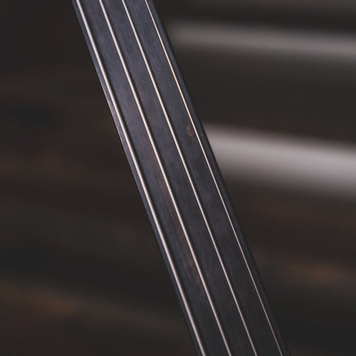 1998 Warwick Dolphin Pro 1 Ovangkol Fretless Bass Guitar with OHSC - Used