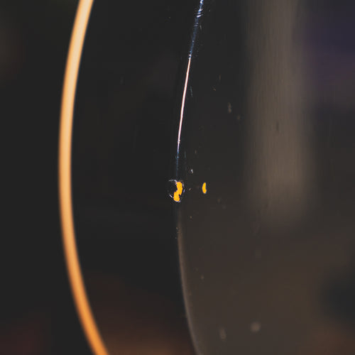 2012 Gibson Les Paul Standard Lefty, Ebony, w/OHSC - Used