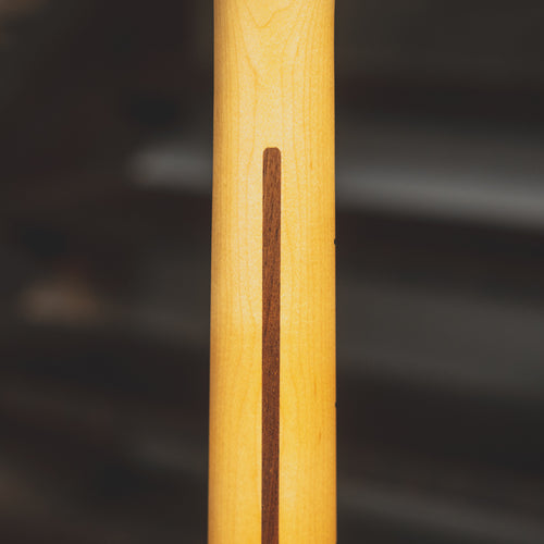 2017 Fender American Professional Telecaster Electric Guitar, Natural with OHSC - Used