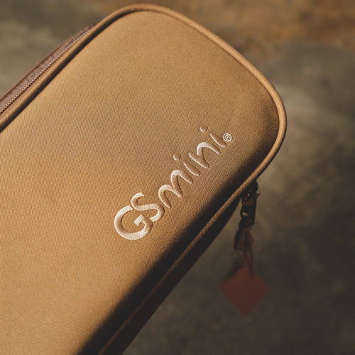 2020 Taylor GS Mini Acoustic Guitar Rosewood, Natural with OGB - Used