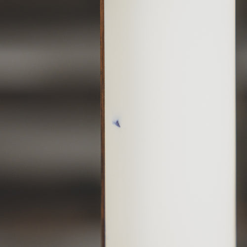 PRS 2021 Starla SE Electric Guitar, White With Original Gig Bag - Used