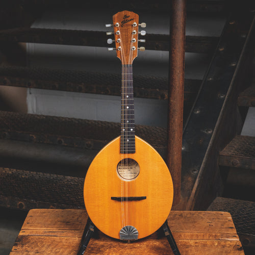 1991 Flatiron 1N Mandolin Natural W/ Hard Case - Use