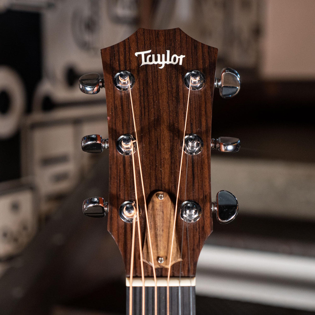 Taylor 310 With LR Baggs M1 With OHSC - Used