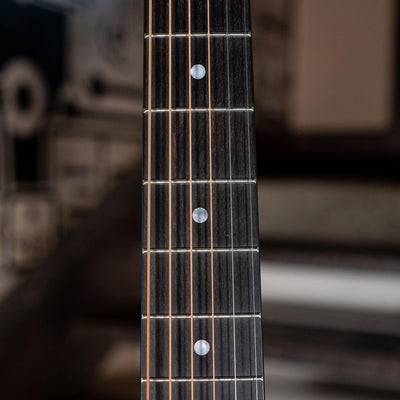 Taylor 310 With LR Baggs M1 With OHSC - Used