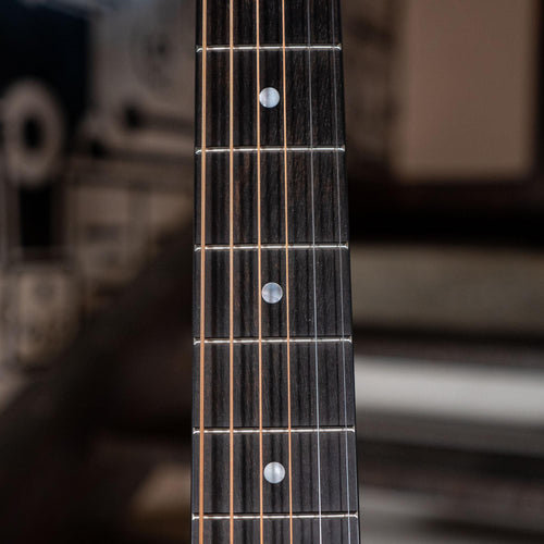 Taylor 310 With LR Baggs M1 With OHSC - Used