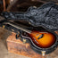 Taylor 2005 T5S Tobacco Sunburst With OHSC - Used