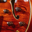Eastman AR380CE John Pisano Honey Burst With OHSC - Used