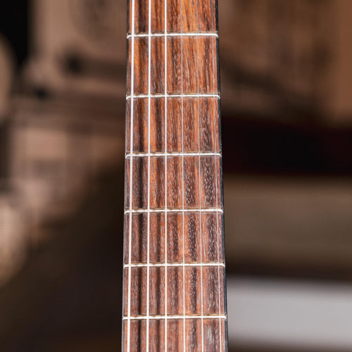 Eastman AR380CE John Pisano Honey Burst With OHSC - Used