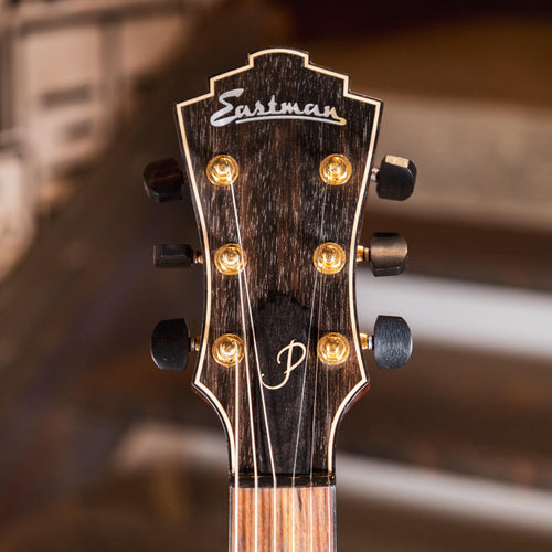 Eastman AR380CE John Pisano Honey Burst With OHSC - Used
