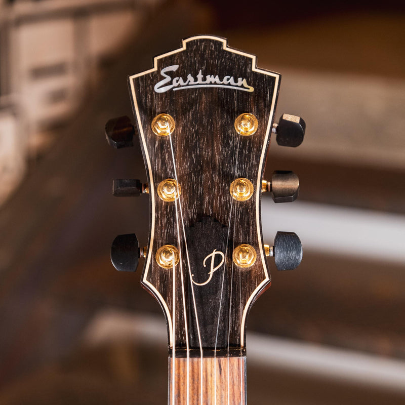 Eastman AR380CE John Pisano Honey Burst With OHSC - Used