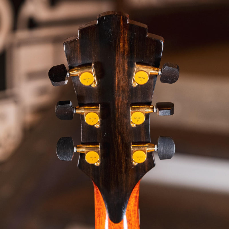 Eastman AR380CE John Pisano Honey Burst With OHSC - Used