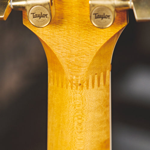 Taylor 614ce with OHSC - Used