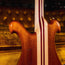 Alembic 2018 Dragon's Wing DWLB4 With OHSC - Used