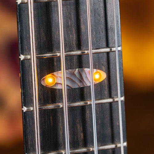 Alembic 2018 Dragon's Wing DWLB4 With OHSC - Used