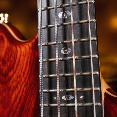 Alembic 2018 Dragon's Wing DWLB4 With OHSC - Used