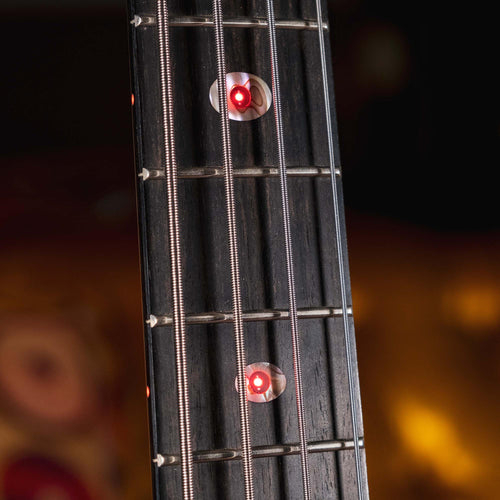 Alembic 2018 Dragon's Wing DWLB4 With OHSC - Used