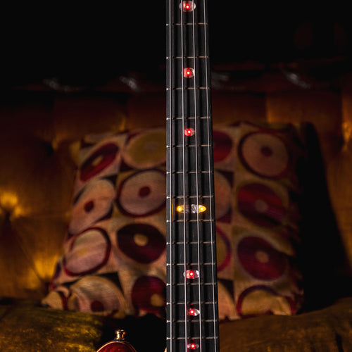 Alembic 2018 Dragon's Wing DWLB4 With OHSC - Used