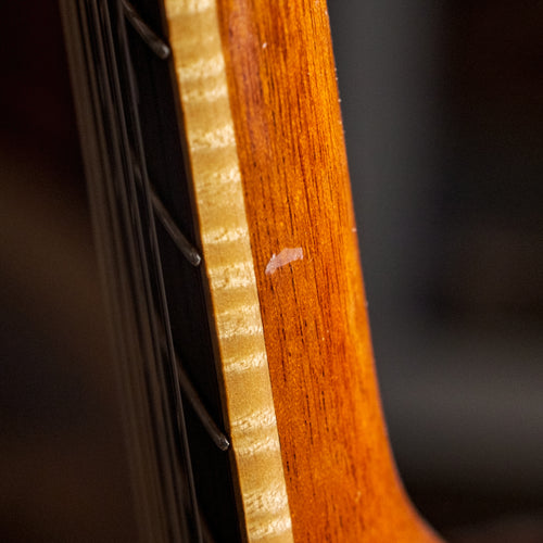 Charles Fox 1999 Sierra Nylon 000 Brazilian With OHSC - Used