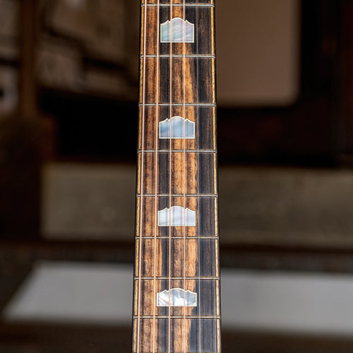 Taylor 2020 618E Grand Orchestra With OHSC - Used