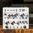 Montreal Assembly 856 For Zellersasn Looper/Sample Sequencer - Used