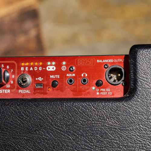 TC Electronic BG250 Bass Combo - Used