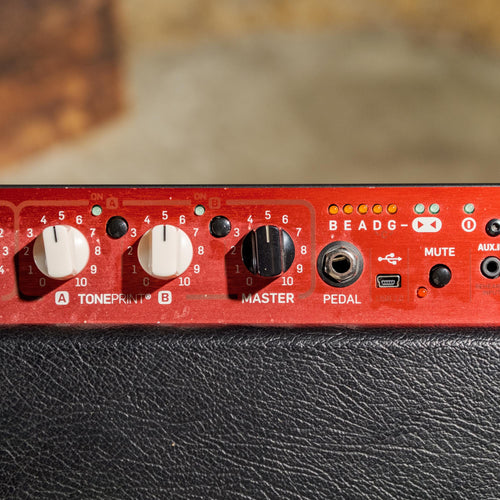 TC Electronic BG250 Bass Combo - Used