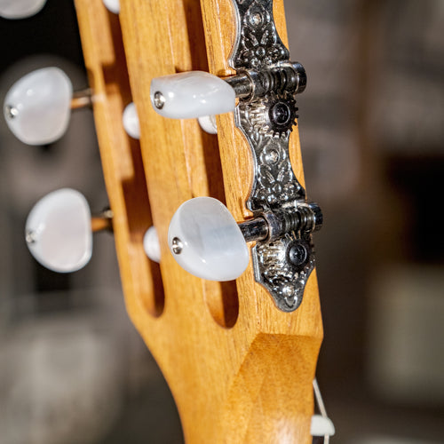 Taylor A12E-N Nylon Academy Series With Original Gigbag - Used