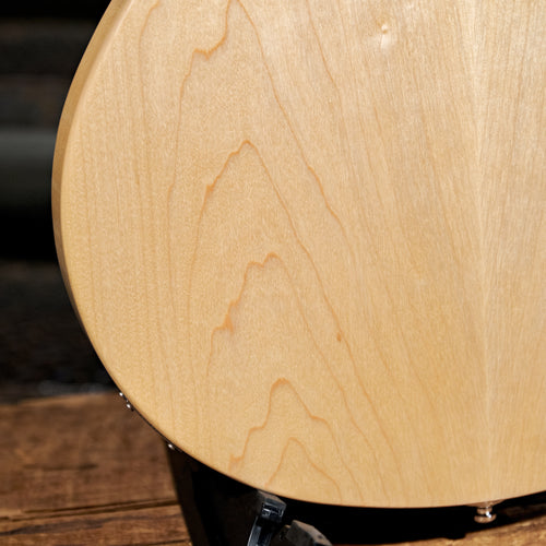 Rickenbacker 2016 330 Natural With OHSC - Used