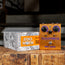 Way Huge Ring Worm Ring Modulator - Used