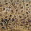 Paiste Signature Traditionals 14" Medium Light Hi Hats - Used